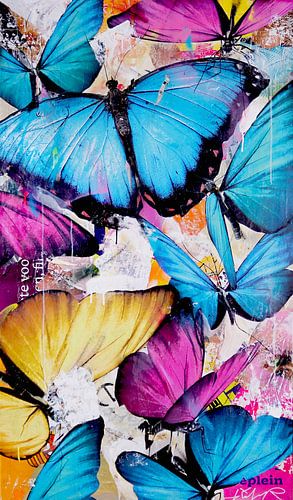Butterfly Paradise by Michiel Folkers