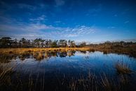 Blue sky by Thijs Schouten thumbnail