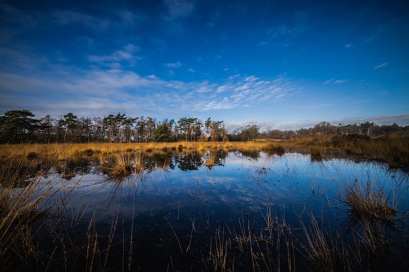 Blue sky by Thijs Schouten