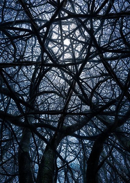 Das Kirchenfenster von Loulou Beavers