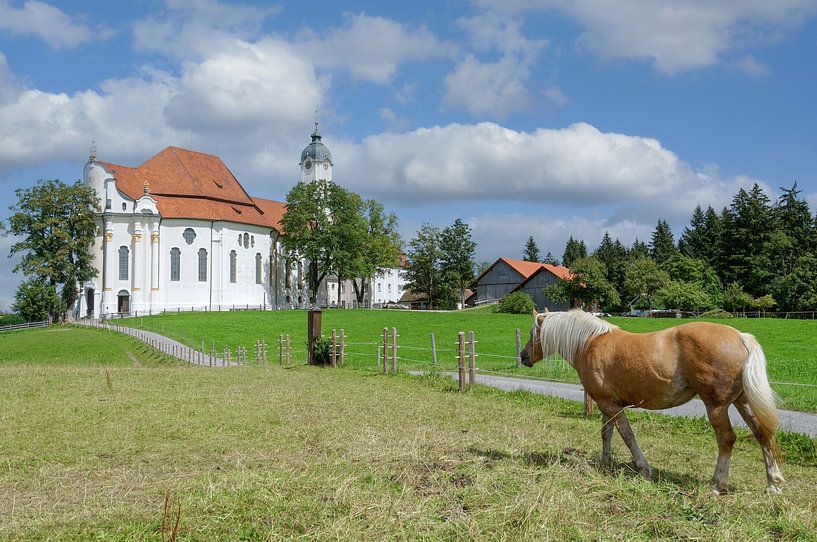 die Wieskirche in Steingaden von Peter Eckert