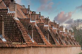 Daken  van het Begijnhof in Lier
