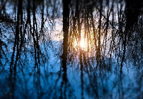 Reflection at the lake