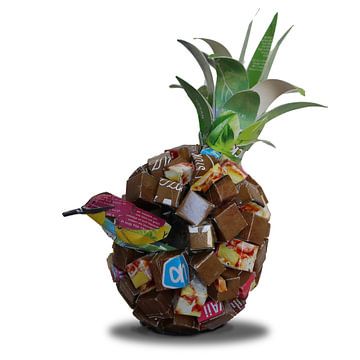 Pizzapineapple-eater