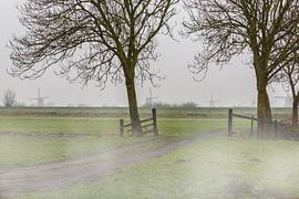 Kinderdijk over de dijk met mist in het weiland van Brian Morgan