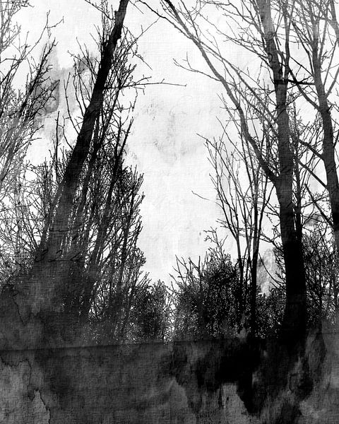 Scandinavian Winter Forest by Mad Dog Art
