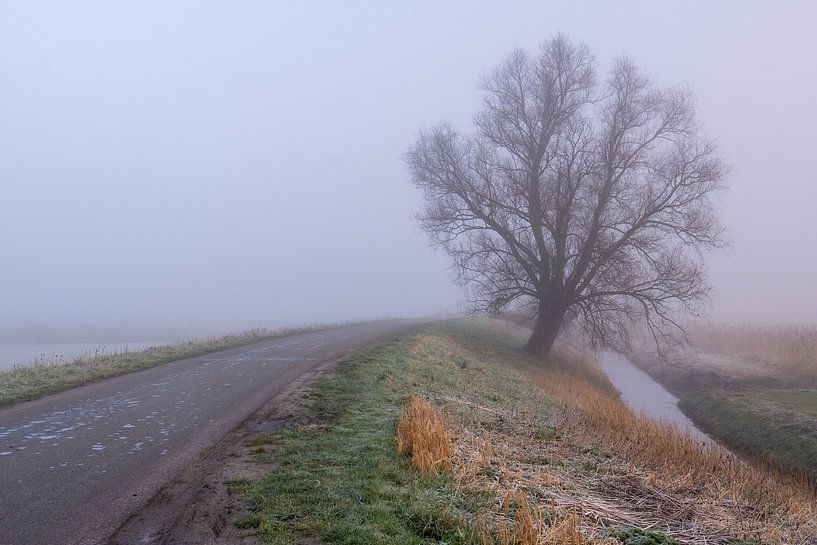 Nebliger Morgen in der Holle Mare von Annemieke Klijn