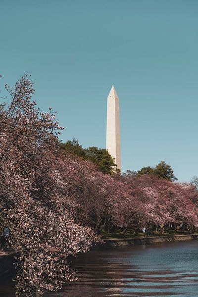 Washington DC by Hello Pompoyo