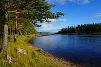 Lake in Sweden's beautiful nature