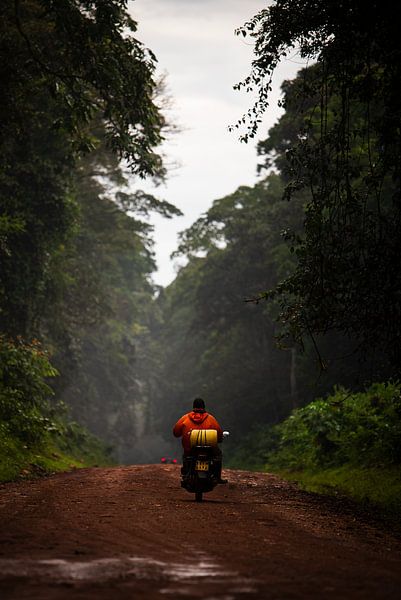 A motorcyclist in Kakamega Forest by Rogier Muller