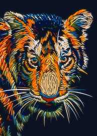 Tigre du Bengale popart