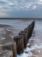 Pfähle im Meer auf Ameland während der blauen Stunde