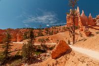 brice canyon national park