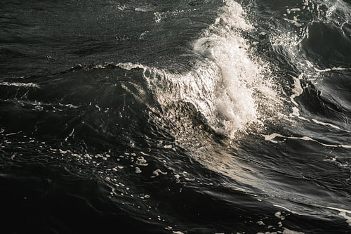 Welle im dunklen Meer mit weißer Gischt und silbernem Licht