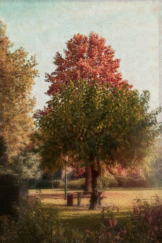 Wat staat er achter de boom?