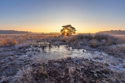 Zonsopkomst Kleine Meer
