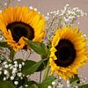 Stilleven met Twee Zonnebloemen en Gipskruid van Cindy Dominika