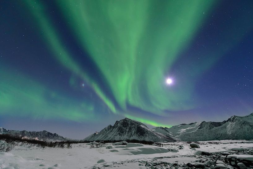 Nordlichter, Polarlicht oder Aurora Borealis im nächtlichen Himmel über Senja von Sjoerd van der Wal Fotografie