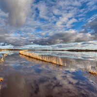 National Park De Alde Feanen