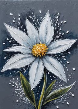 Edelweiss van MIROKKU