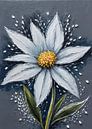 Edelweiss van MIROKKU thumbnail