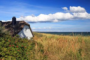 Das Haus am Meer