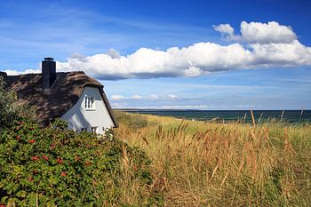 The house by the sea
