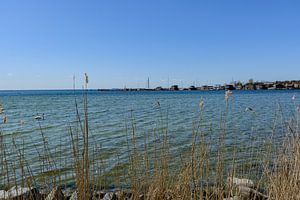 Am Ufer in der Goor, Lauterbach auf Rügen