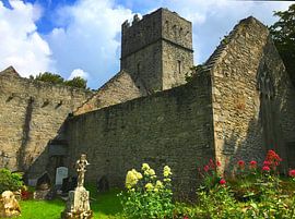 Muckross Abbey in Killarney National Park