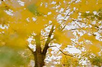 Herbstliche Atmosphäre
