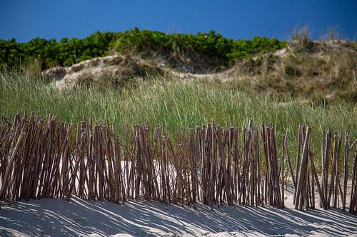 Sylt Nordstrand mit Dünenschutz