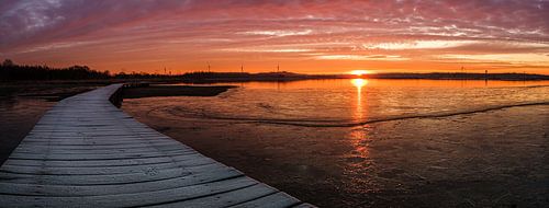 Nature reserve Huis ter Heide