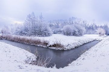 winter in het waerderhout bos 1