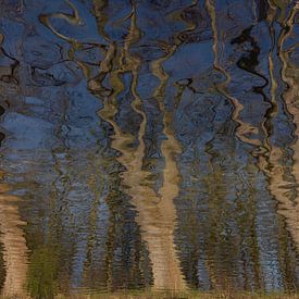 Dansende bomen van Jean Arntz