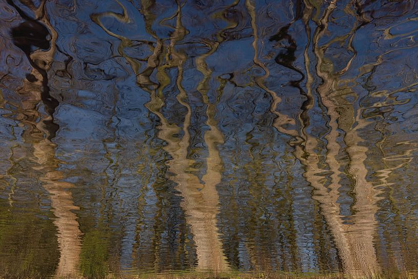 Tanzende Bäume von Jean Arntz