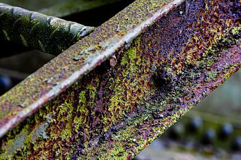 Perishable and colourful02