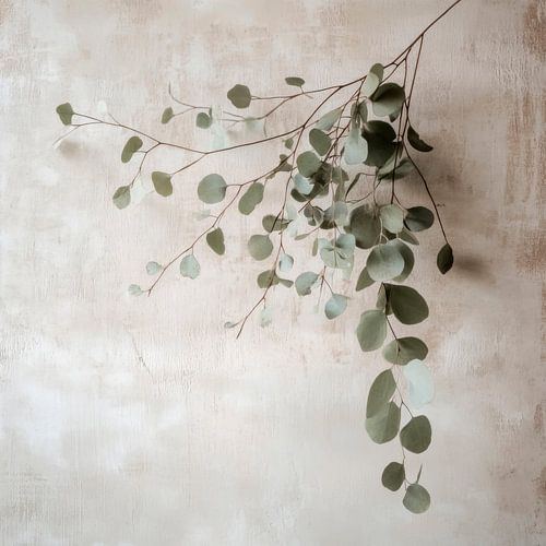 Decoratieve eucalyptustak