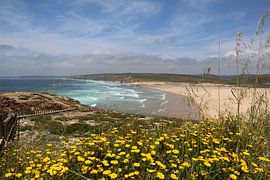 Meerblick portugiesisch über schönes gelbes Blumenbeet
