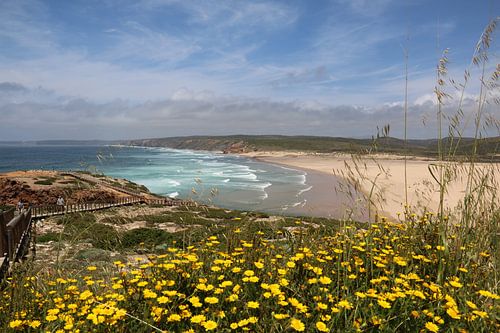 Zeezicht portugal over mooi geel bloemen bed