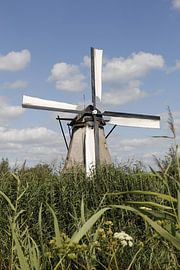 Moulin hollandais sur Christel Smits