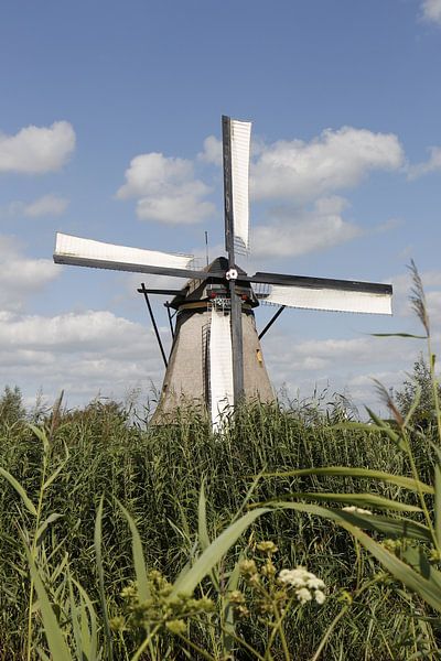 Dutch Mill by Christel Smits