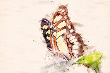 Malachiet vlinder - Siproeta stelenes (waterverf edit)