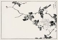Pallas’s Blue Robin and Rose illustration from Pictorial Monograph of Birds (1885) by Numata Kashu
