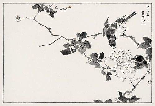 Blue Robin and Rose-illustratie door Numata Kashu