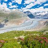 Le grand glacier d'Aletsch vu de Riederalp (Suisse) sur Rob Kints