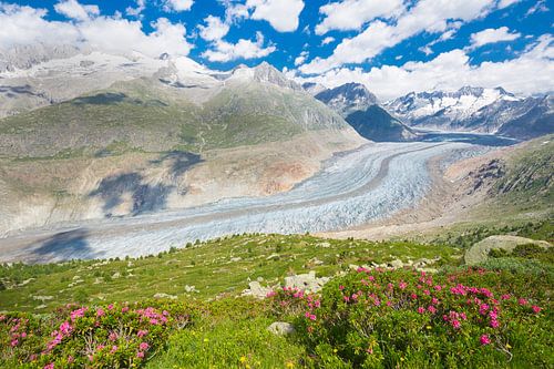 Der Grosse Aletschgletscher von der Riederalp Schweiz aus gesehen
