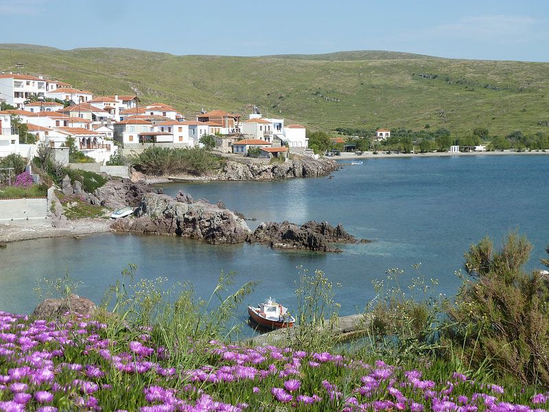 Spring in Lesbos, Greece by Carla Odink