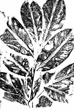 Black leaves  in retro style. Modern botanical minimalist art in black and white. by Dina Dankers