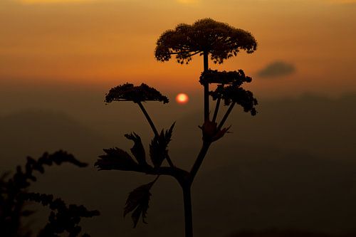 Coucher de soleil à la montagne