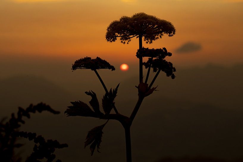 Sunset in the mountains by Nicolas Vaillant